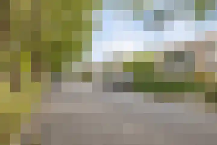 Wilhelminalaan 24 Harmelen thumbnail 8