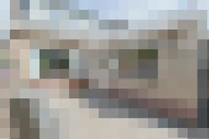 Wilhelminalaan 27 Nieuwkoop thumbnail 39