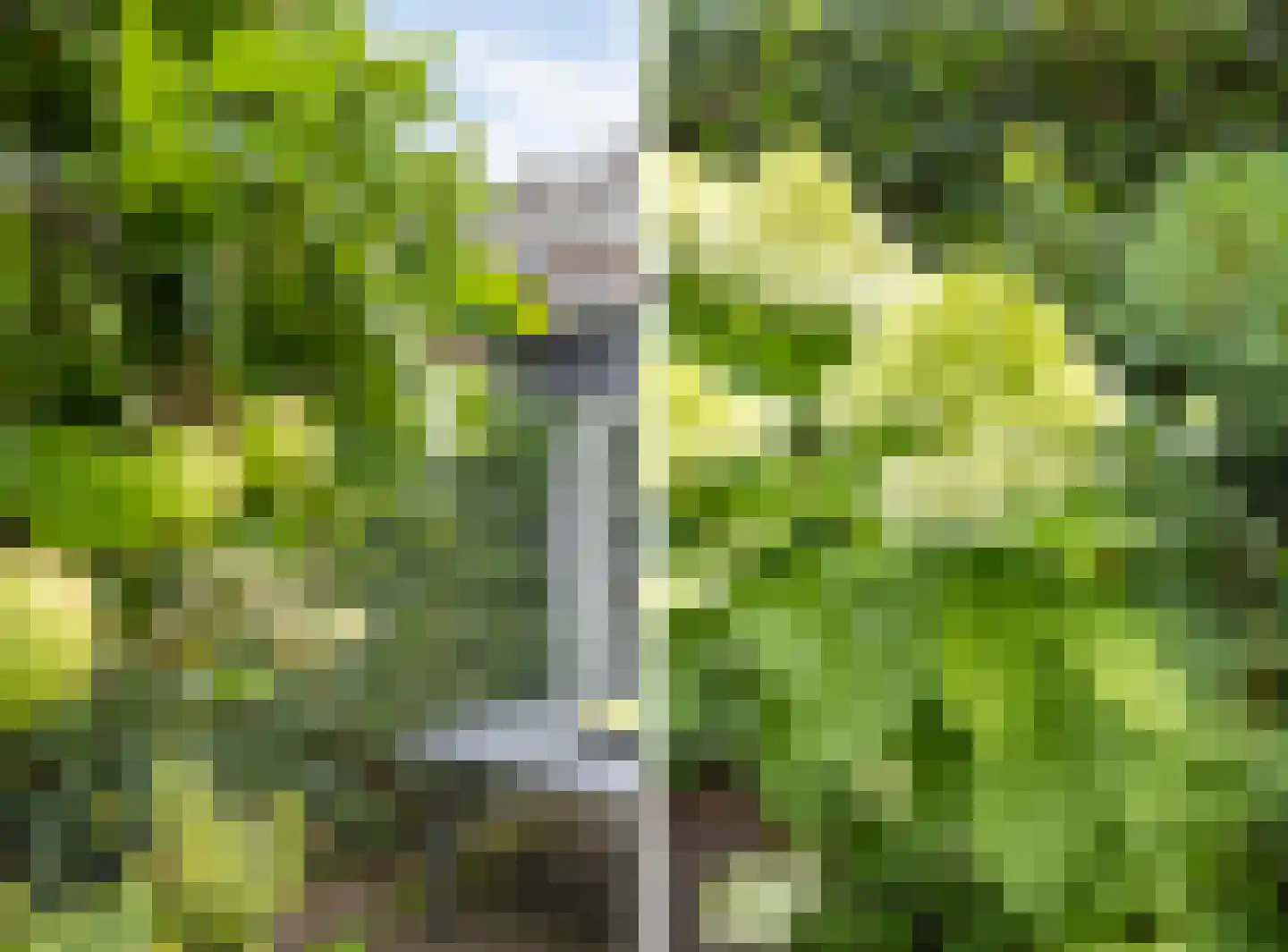 Wilhelminalaan 27 Vught thumbnail 49