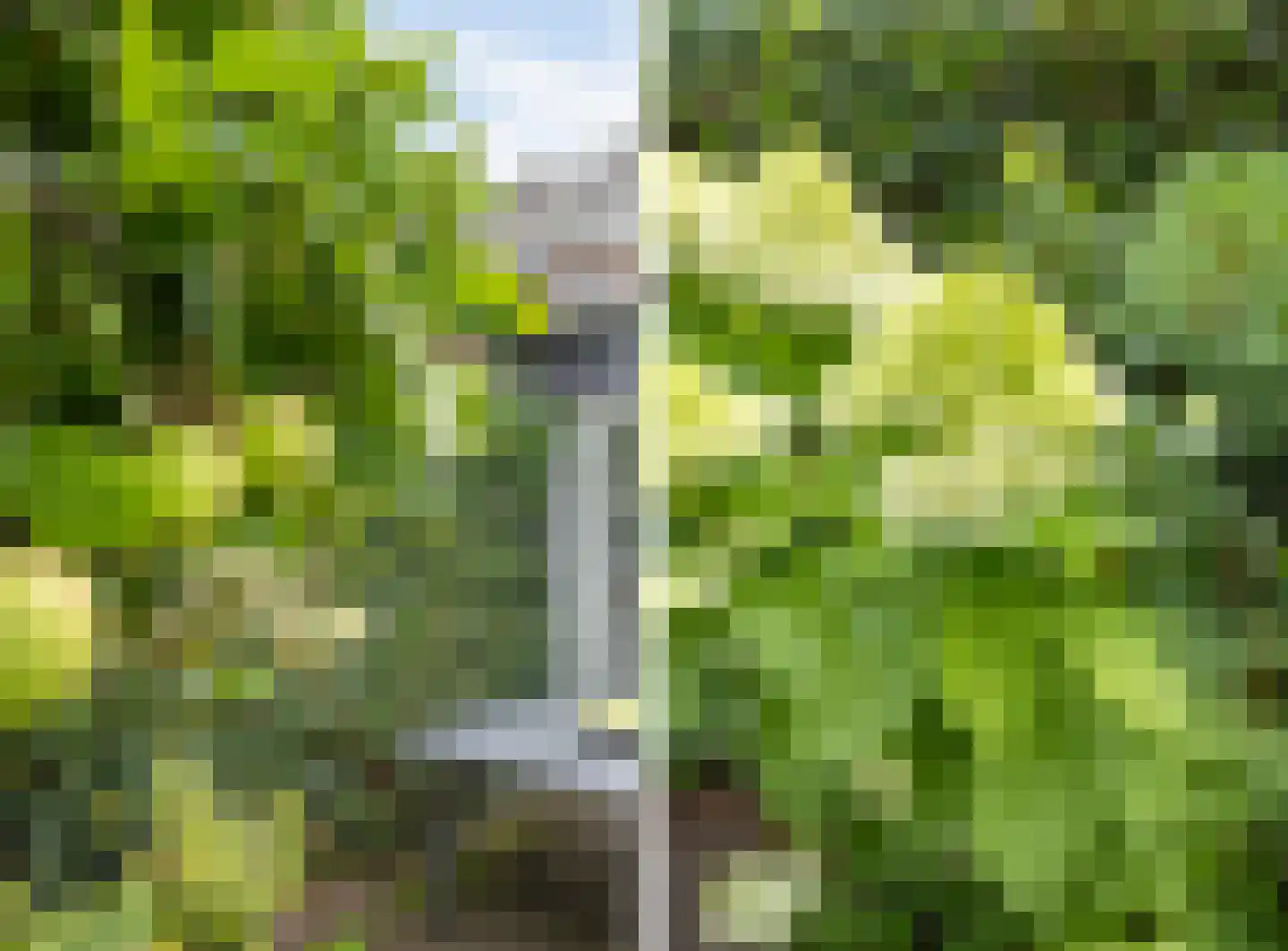 Wilhelminalaan 27 Vught thumbnail 52
