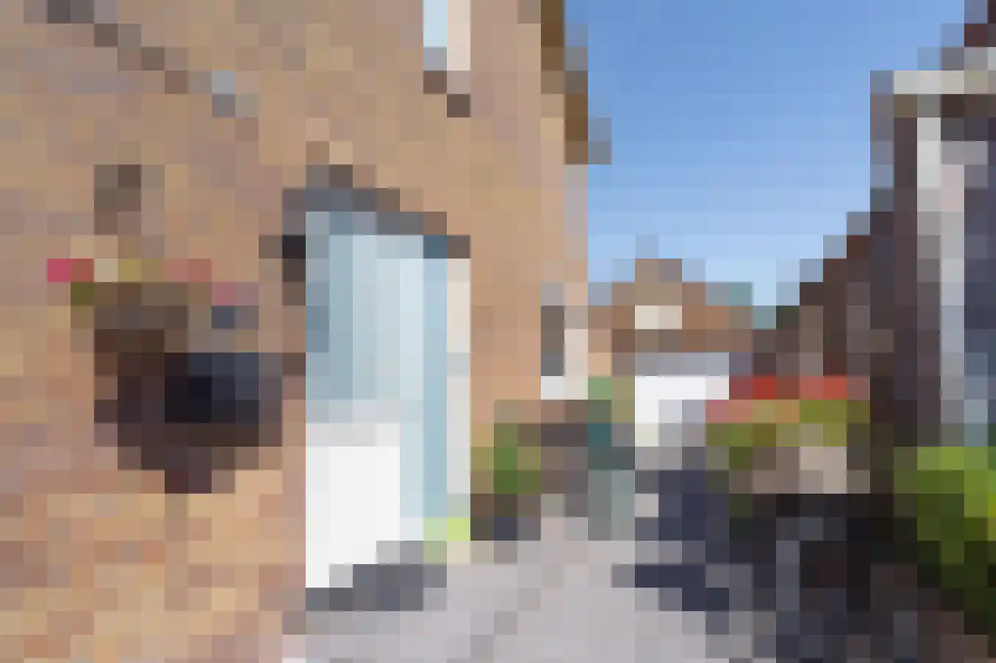 Wilhelminalaan 28 Dirksland thumbnail 52