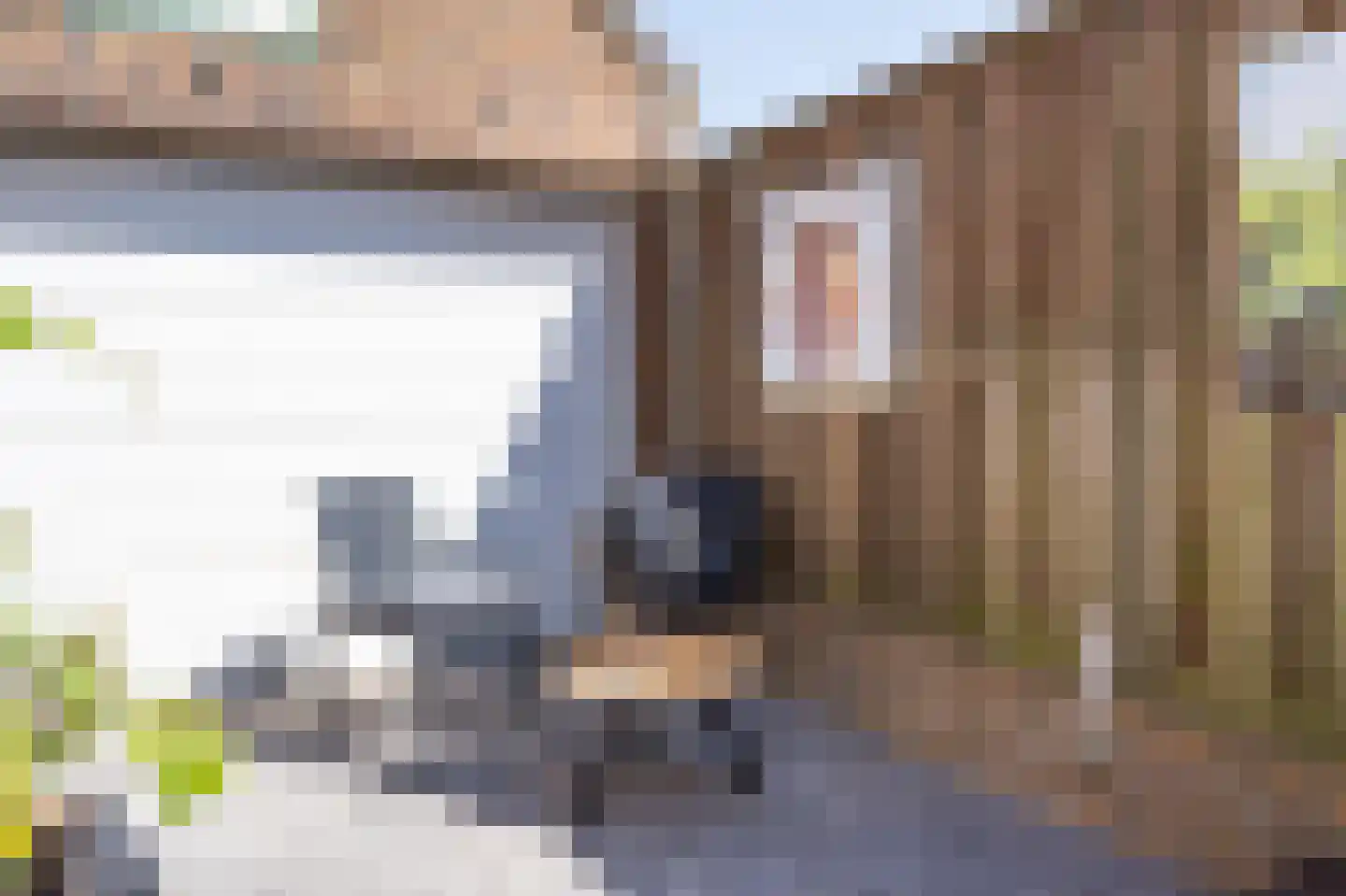 Wilhelminalaan 28 Dirksland thumbnail 53