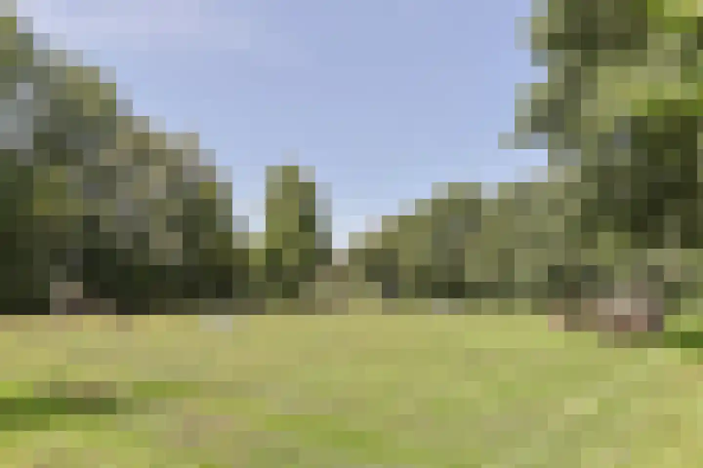 Wilhelminalaan 28 Nieuwkoop thumbnail 37