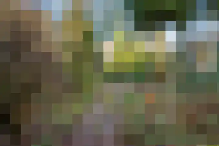 Wilhelminalaan 29 De Bilt thumbnail 32
