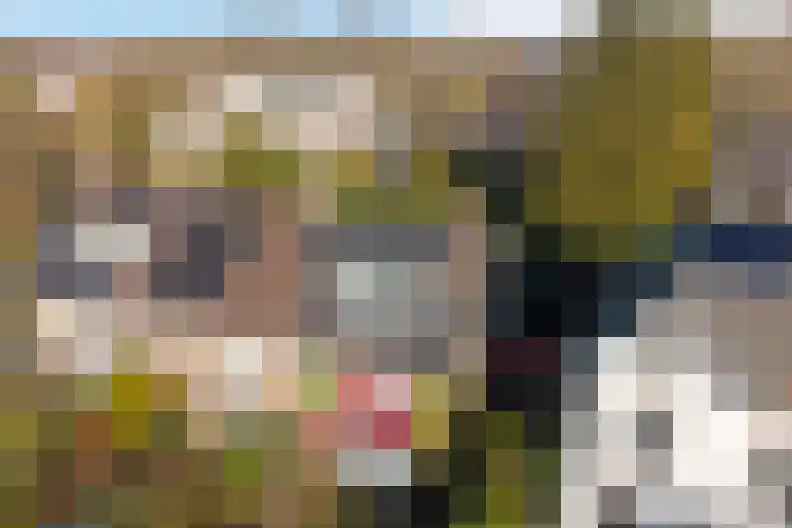 Wilhelminalaan 29 De Bilt thumbnail 38