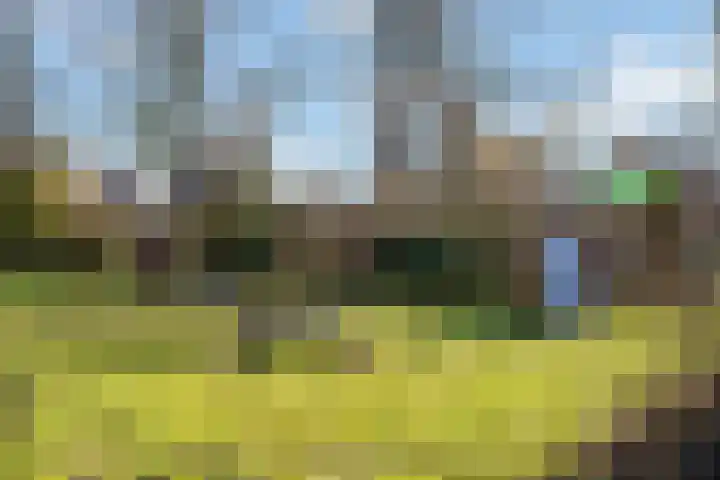 Wilhelminalaan 29 De Bilt thumbnail 41