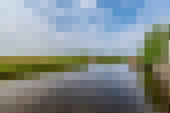 Wilhelminalaan 29 Hillegom thumbnail 30