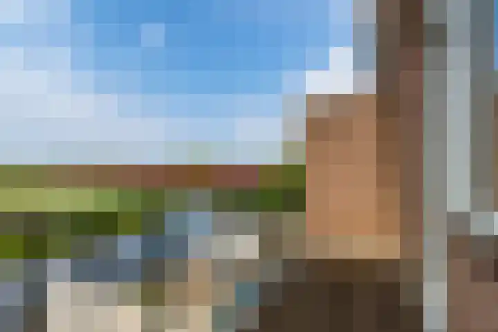 Wilhelminalaan 29 Hillegom thumbnail 38