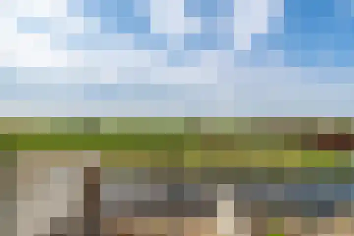 Wilhelminalaan 29 Hillegom thumbnail 39