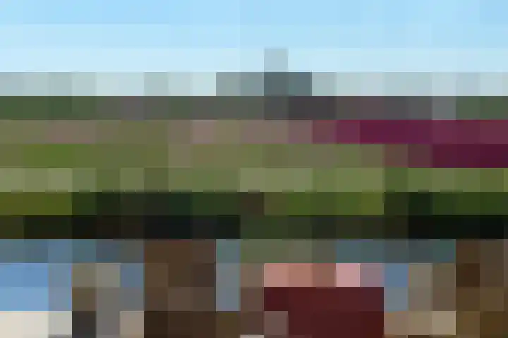 Wilhelminalaan 29 Hillegom thumbnail 5