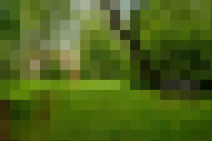 Wilhelminalaan 29 Hillegom thumbnail 50