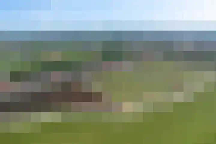 Wilhelminalaan 29 Hillegom thumbnail 52