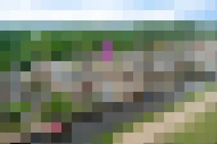 Wilhelminalaan 29 Hillegom thumbnail 53