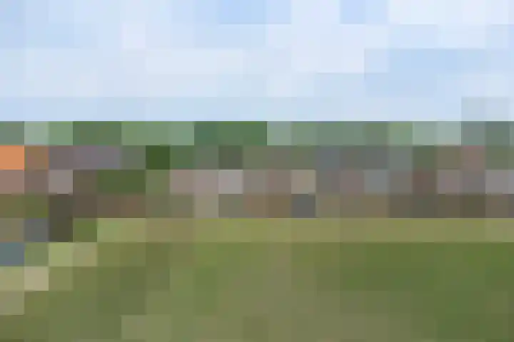 Wilhelminalaan 29 Hillegom thumbnail 54