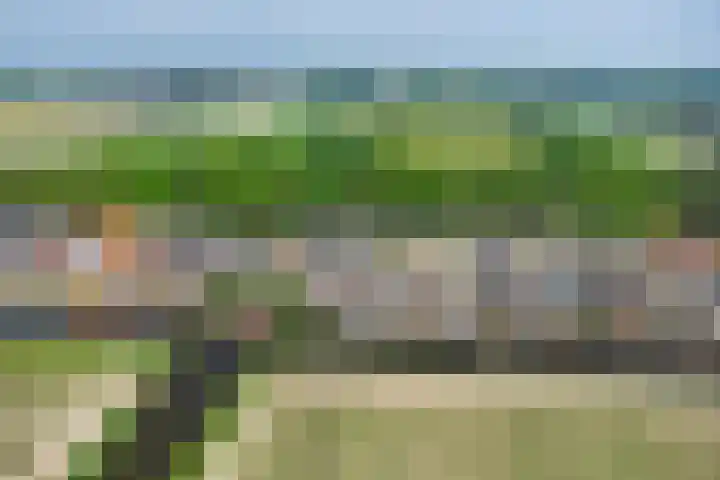 Wilhelminalaan 29 Hillegom thumbnail 6