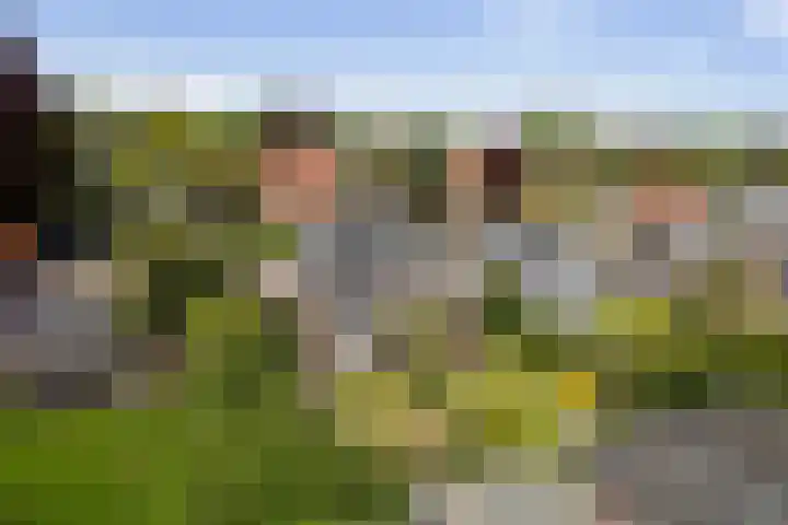 Wilhelminalaan 29 Lochem thumbnail 33