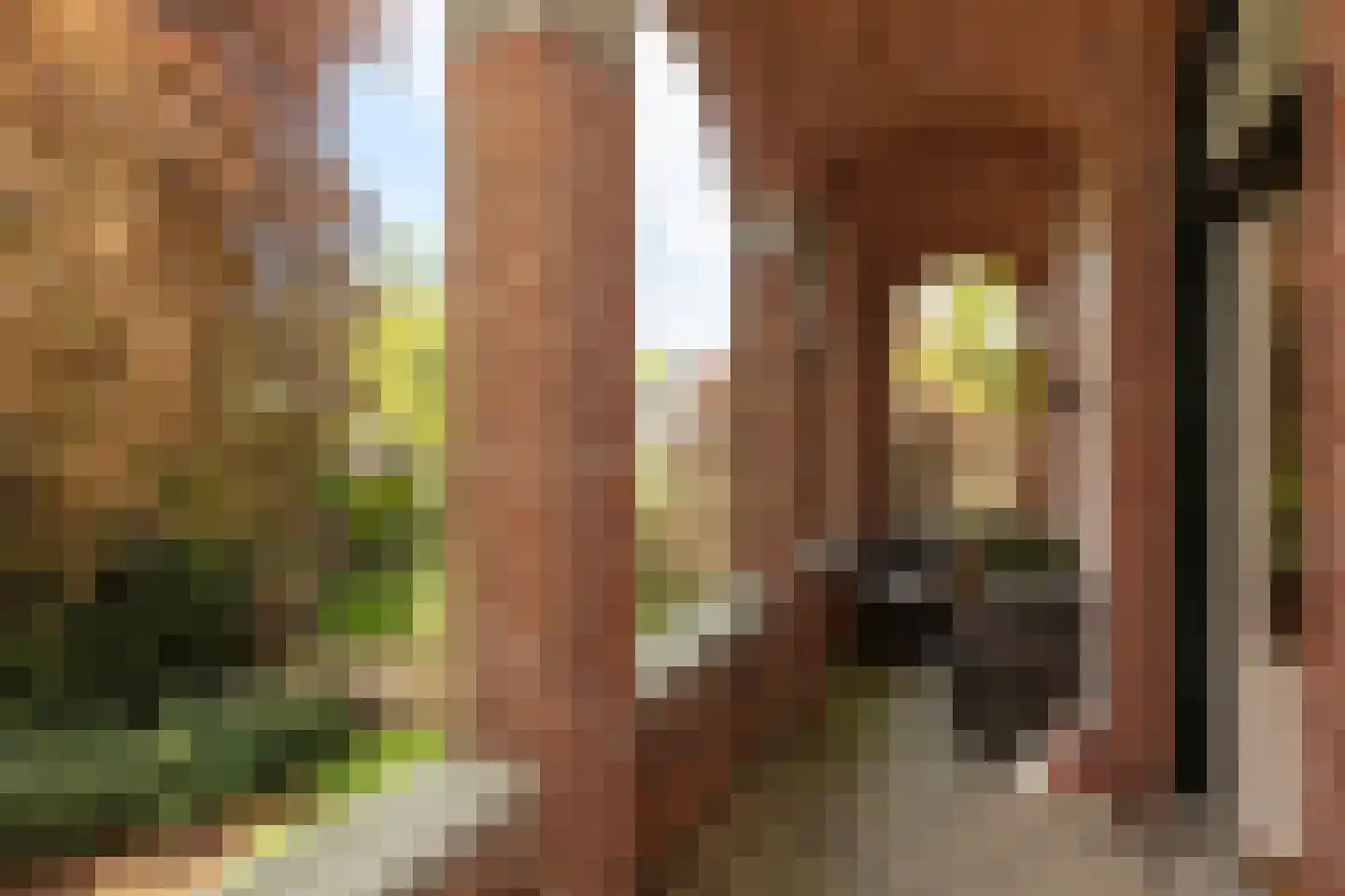Wilhelminalaan 3 B Baarn thumbnail 22