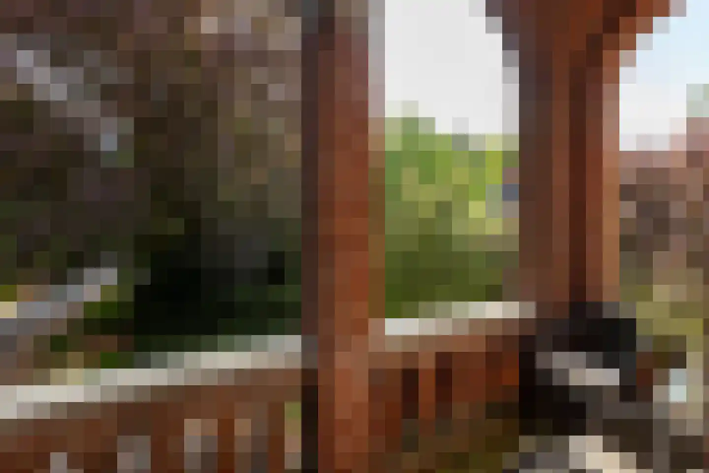 Wilhelminalaan 3 B Baarn thumbnail 23