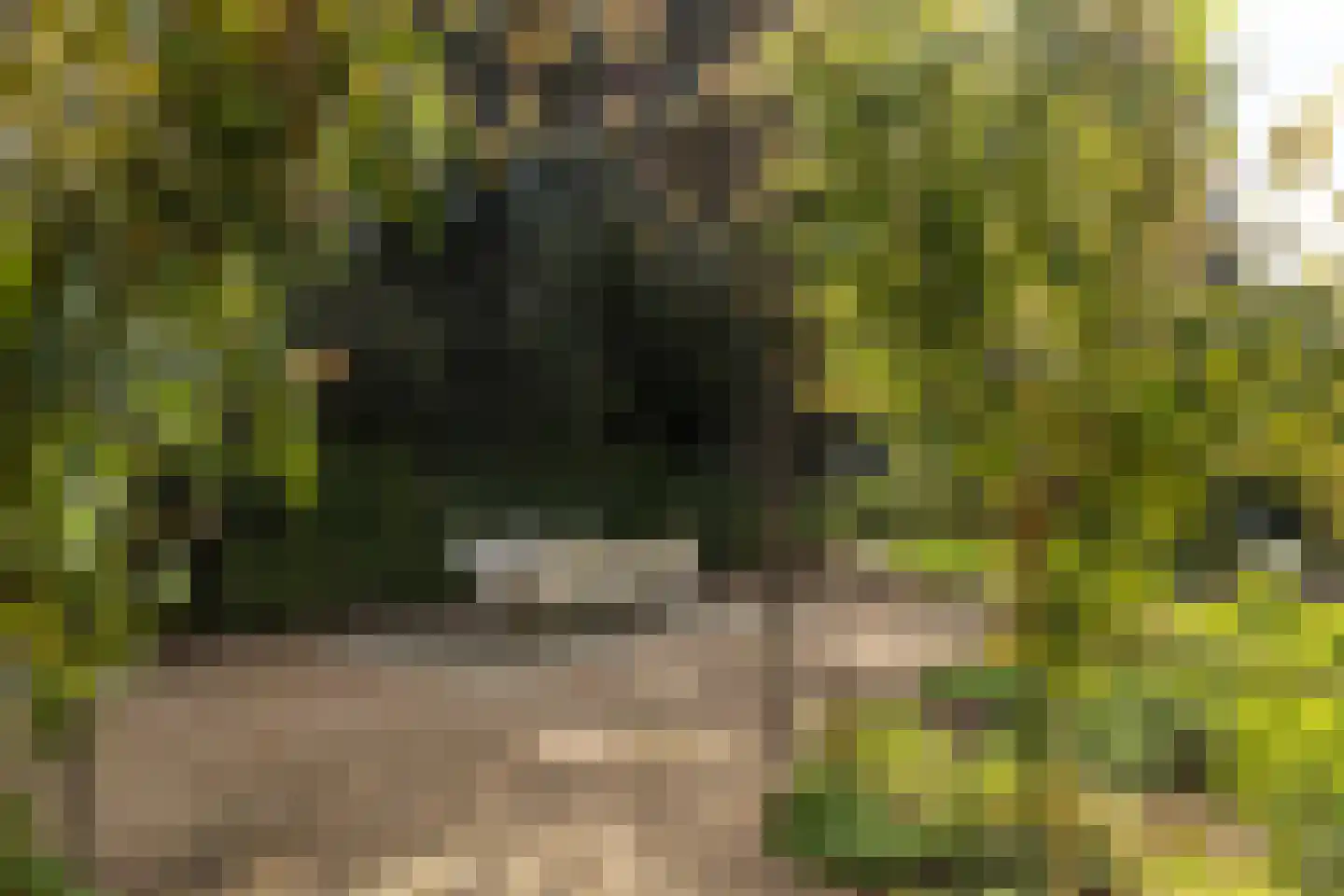 Wilhelminalaan 3 B Baarn thumbnail 25