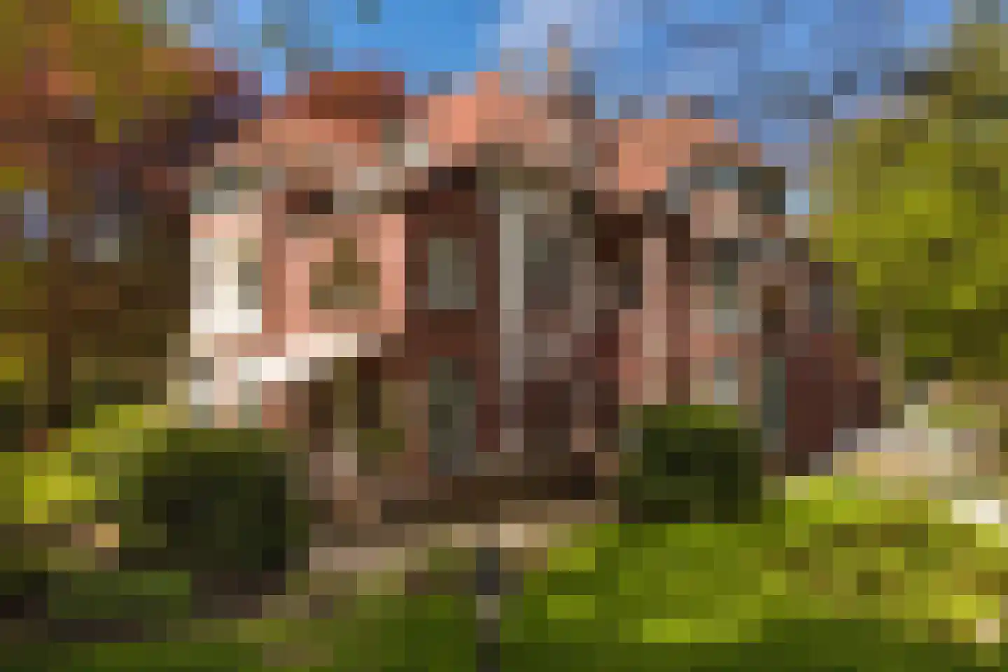 Wilhelminalaan 3 B Baarn thumbnail 26