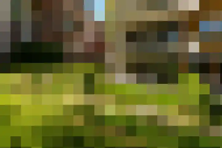 Wilhelminalaan 3 H Baarn thumbnail 19
