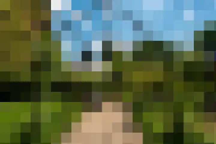 Wilhelminalaan 3 H Baarn thumbnail 20
