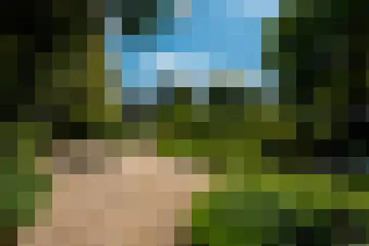 Wilhelminalaan 3 H Baarn thumbnail 21