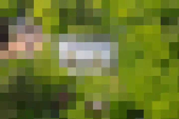 Wilhelminalaan 3 H Baarn thumbnail 22