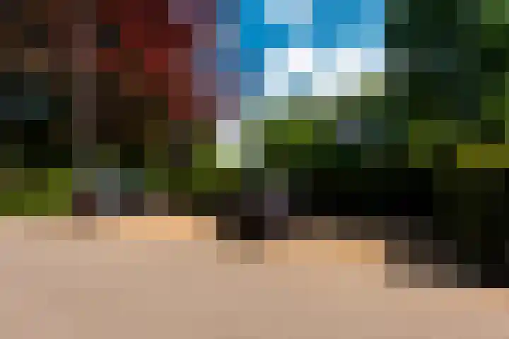Wilhelminalaan 3 H Baarn thumbnail 24
