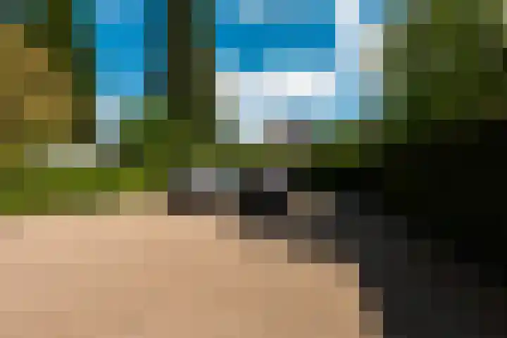 Wilhelminalaan 3 H Baarn thumbnail 26