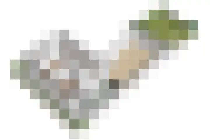 Wilhelminalaan 3 H Baarn thumbnail 35