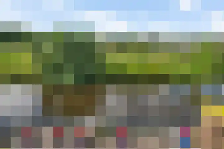 Wilhelminalaan 3 H Hillegom thumbnail 26