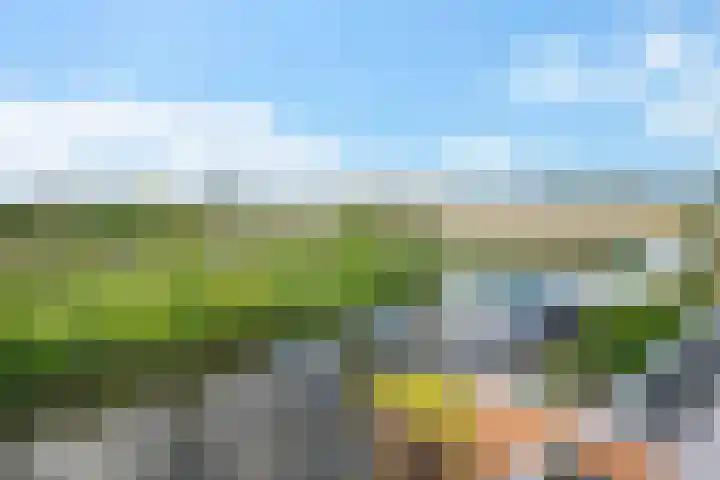 Wilhelminalaan 3 H Hillegom thumbnail 27
