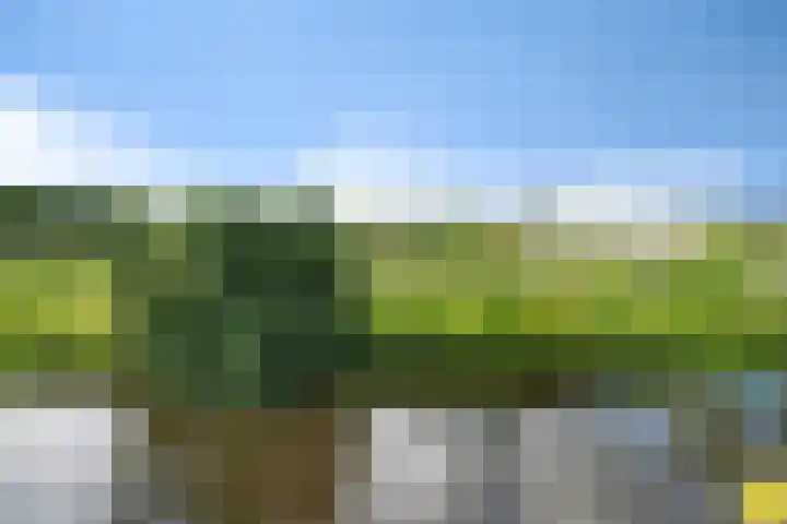 Wilhelminalaan 3 H Hillegom thumbnail 30
