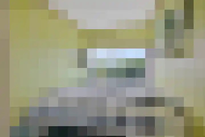 Wilhelminalaan 3 H Hillegom thumbnail 32
