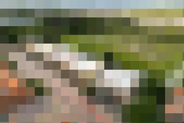 Wilhelminalaan 3 H Hillegom thumbnail 38