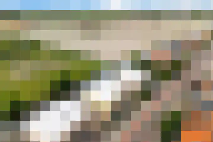 Wilhelminalaan 3 H Hillegom thumbnail 39