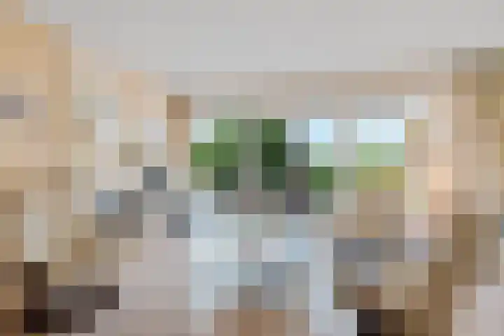 Wilhelminalaan 3 H Hillegom thumbnail 7