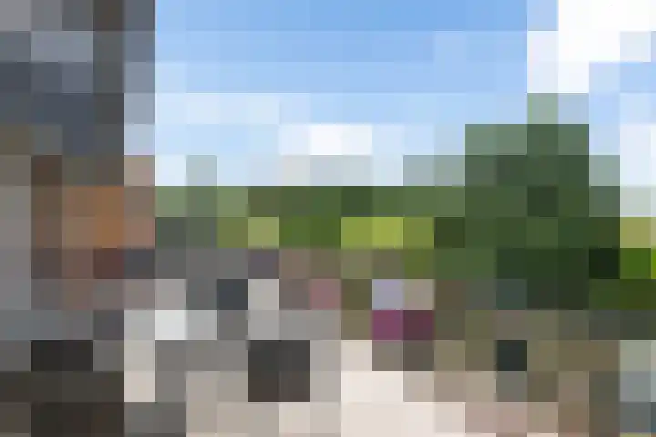 Wilhelminalaan 3 H Hillegom thumbnail 9