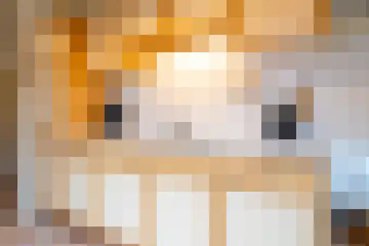 Wilhelminalaan 3 Muntendam thumbnail 21