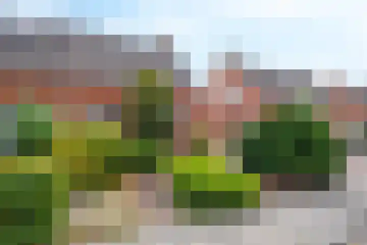 Wilhelminalaan 3 Muntendam thumbnail 4