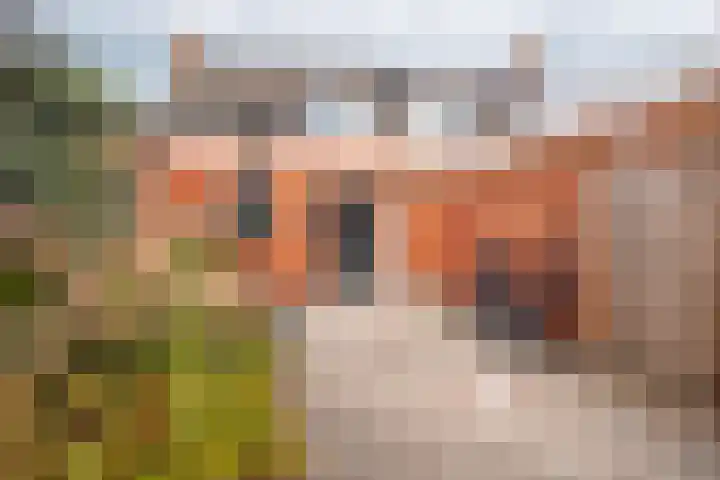 Wilhelminalaan 3 Muntendam thumbnail 47