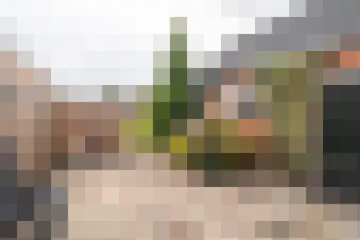 Wilhelminalaan 3 Muntendam thumbnail 48