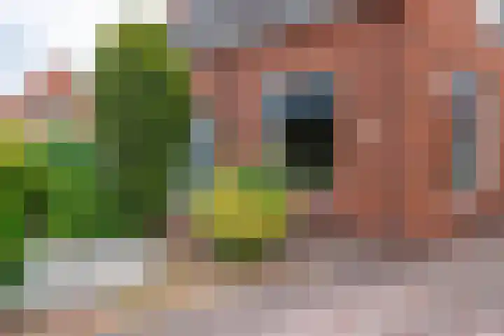 Wilhelminalaan 3 Muntendam thumbnail 5