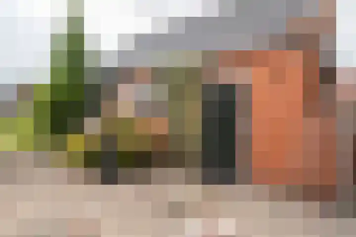 Wilhelminalaan 3 Muntendam thumbnail 52
