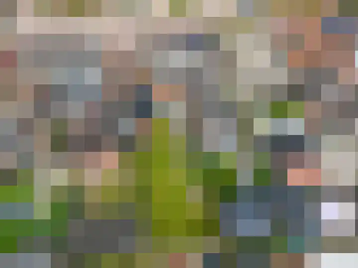 Wilhelminalaan 3 Muntendam thumbnail 61