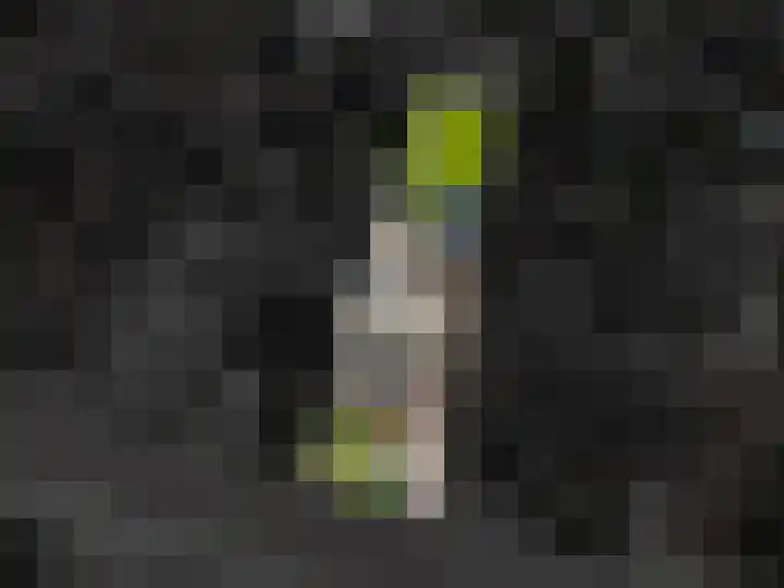 Wilhelminalaan 3 Muntendam thumbnail 62