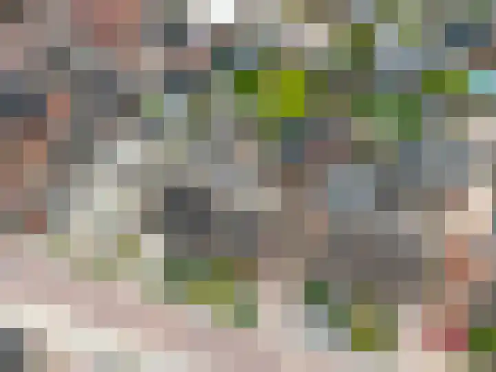 Wilhelminalaan 3 Muntendam thumbnail 63