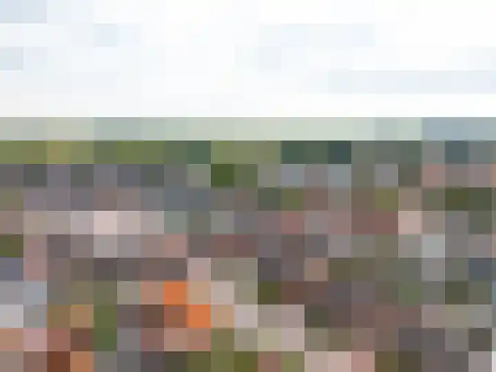 Wilhelminalaan 3 Muntendam thumbnail 65
