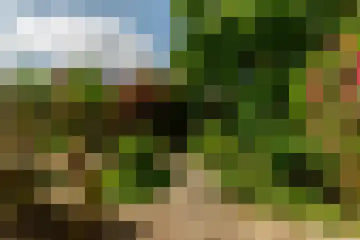 Wilhelminalaan 3 Rotterdam thumbnail 27